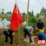 南县中鱼口镇：多举措加大农业投入品废弃物治理