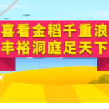 动画视频丨喜看金稻千重浪  丰裕洞庭足天下