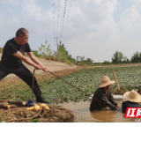 赫山区泉交河镇：干群同心攻克抗旱难题