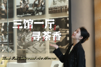 三馆一厅寻茶香｜双语视频· ZhuZhu的安化笔记