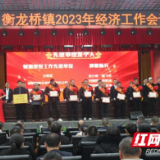 赫山区衡龙桥镇表彰奖励种粮标兵 为粮食生产注入“强心剂”