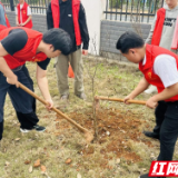 携手共种同心树 益阳职院高新产业学院开展植树节活动