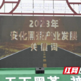 快讯｜发布！2023年安化黑茶产业发展关键词