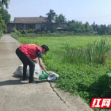 南县麻河口镇：“环保卫士”助推绿色农业发展