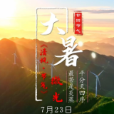 视频 | 清风·微光 大暑：清风相伴 向光而行