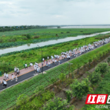 大通湖区：打卡“十里荷塘” 徒步荷花赛道 300多名徒步爱好者与“荷”同行