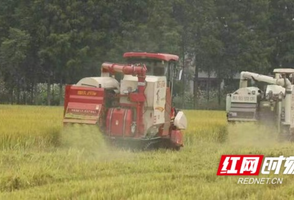 益阳沅江：农业机械化让农民轻松种田