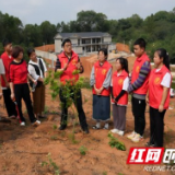 益阳职院：百亩杨梅里架起“田间课堂”