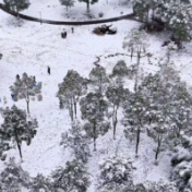 视频｜浪漫雪景里的城市“守护神”