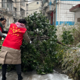 组图｜赫山：冰天雪地里温暖的手托起安全的路