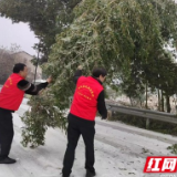 桃江县大栗港镇：多方联动 众志成城 干群合力抗冰灾 破冰除雪保平安