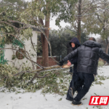 大通湖区河坝镇：“三长”显担当，共抗冰雪天