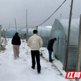 桃江县牛田镇：雨雪中的我们