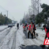 南县中鱼口镇：党员志愿者迎寒而上 铲雪破冰保民生