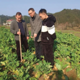 刘习聪：愿做大山里的一滴甘露