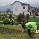 桃江县浮邱山乡：做优人居环境 建设宜居宜业和美乡村