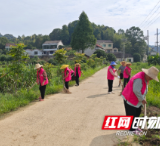 桃江县修山镇：“三大示范”带动农居环境整治全面提升