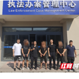 桃江警方成功打掉一盗窃犯罪团伙，抓获犯罪嫌疑人3名