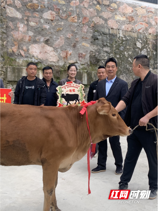 锯竹、挖笋、运楠竹!泥江口镇农民运动会,把农活玩成了赛事792.marked.png 锯竹、挖笋、运楠竹!泥江口镇农民运动会,把农活玩成了赛事792.marked.png