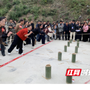 锯竹、挖笋、运楠竹！赫山区泥江口镇农民运动会，把农活玩成了赛事