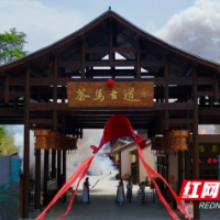 安化茶马古道焕新启幕 千年商道续写文旅新章