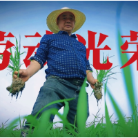 种粮大户李旭芳：握屠刀的手攥紧锄头，他用16年给荒地办“转正仪式”｜人民万岁①