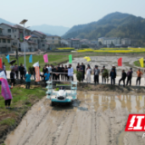 安化：农机助力小块田 杂粮产业焕新机