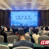 聚焦急重症救治！第二届银城急诊重症高峰论坛开幕