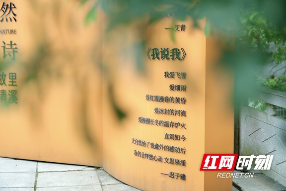 微信图片_20250515085634.marked.jpg