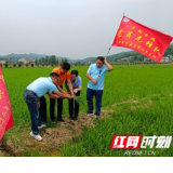 亚洲最大磷肥企业牵手桃江 用“党建 +”赋能农资产业链