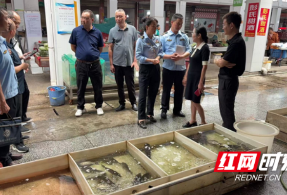 沅江市：织密监管网络 守护校园“食安线”