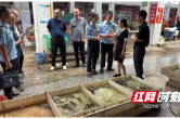 沅江市：织密监管网络 守护校园“食安线”