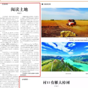 阅读土地