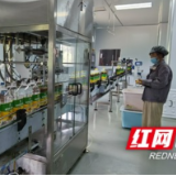 桃江：线上线下齐发力 菜籽飘香销四方