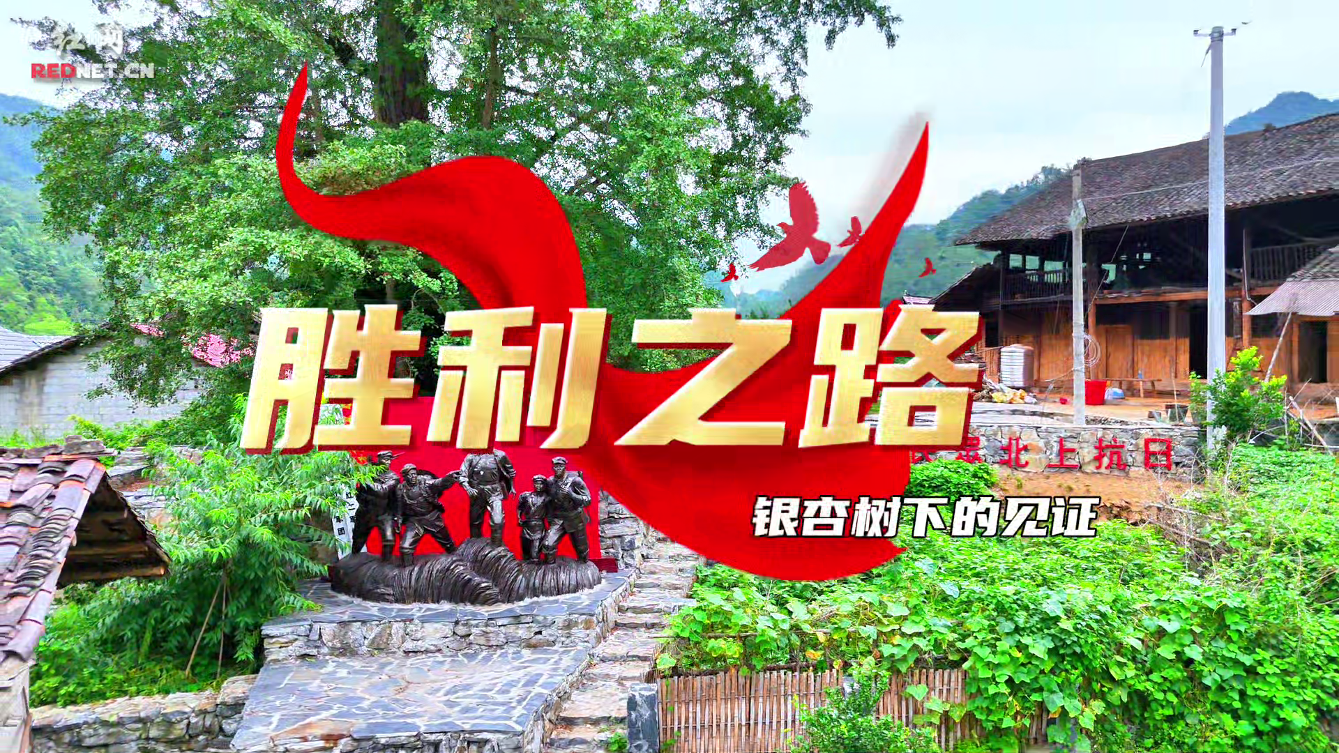 银杏树下的见证