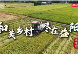 视频 | 赫山区长东湖村：“屋”处不风光  “湖”等客来赏