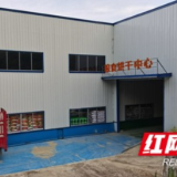 桃江全自动烘干中心投产 日处理湿谷360吨助农减损