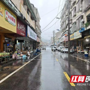 桃江：暴雨突袭武潭镇 干群同心筑牢防汛 “安全堤"