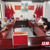 赫山区桃花仑街道诞生益阳市首个业主选举产生的小区监委会 为基层自治添监督 “利器”