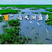 大通湖：明星驾到 好礼狂送 新能源拉力赛×车展盛事即将强势登场