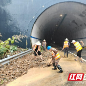 暴雨致交通受阻 桃江县武潭镇多部门联动保畅通