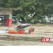 资江激流中的生死救援 桃江冬泳队员勇救被困车辆