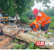 赫山公路：冒雨清除隐患保畅通