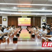 2025年上半年全市经济形势分析会召开