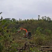 资阳区：“三着力”推动构建汛旱并防与耕地置换协同推进机制试点