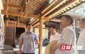 系统谋划乡村振兴新路径 擘画双烟发展新蓝图