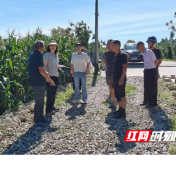 视频 | 大通湖区金盆镇：群众当“考官” 实事见真章