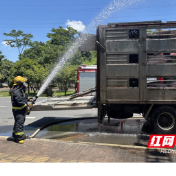 120余头生猪高速遇险！ 益阳消防紧急救援