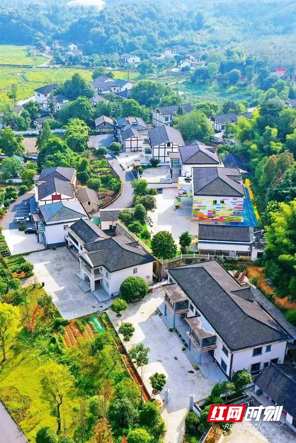 b565bd022f46460289419351867d2462_看图王.web.marked.jpg