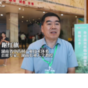 多花黄精 “湘药”安化丨谢红旗：借论坛聚智赋能，以标准体系护航黄精产业升级